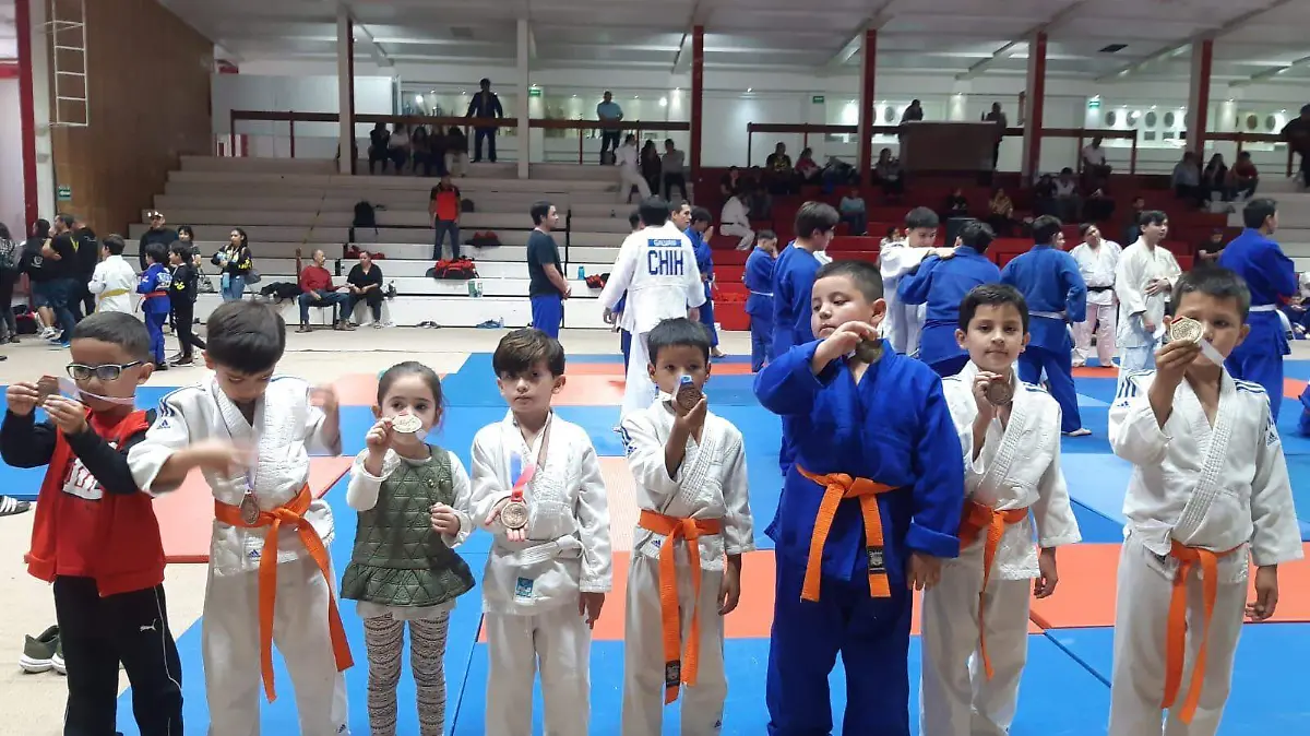 deportes judo